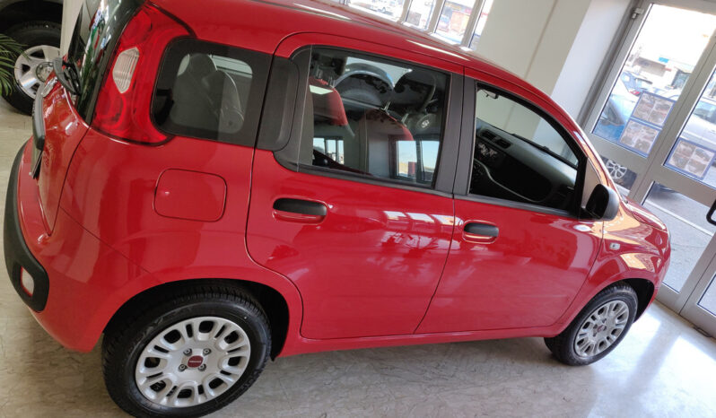 Fiat Panda KM0 / Nuovo / usato aziendali pieno