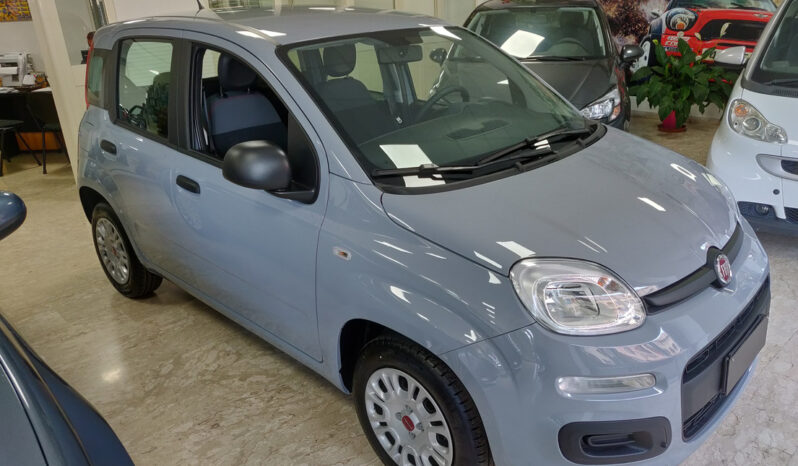 Fiat Panda KM0 / Nuovo / usato aziendali pieno