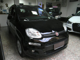 Fiat New Panda 3°Serie Nuovo e usato