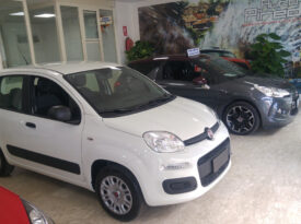Fiat Panda da Noleggio