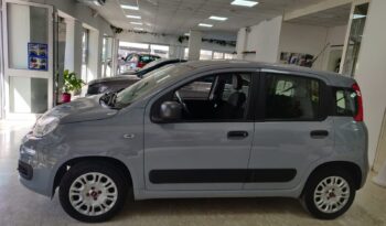 Fiat Panda 1.2 Easy pieno