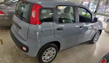 Fiat Panda nuova pieno