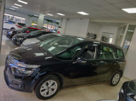 Citroen C4 Picasso Nuovo e Usato