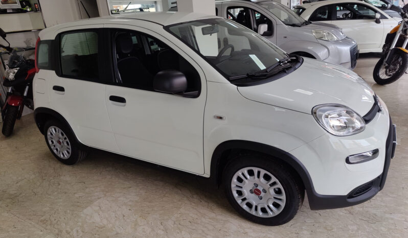 Fiat Panda 1.0 Firefly Hybrid pieno