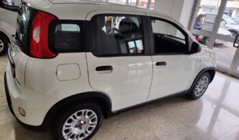 Fiat Panda 1.0 Firefly Hybrid pieno