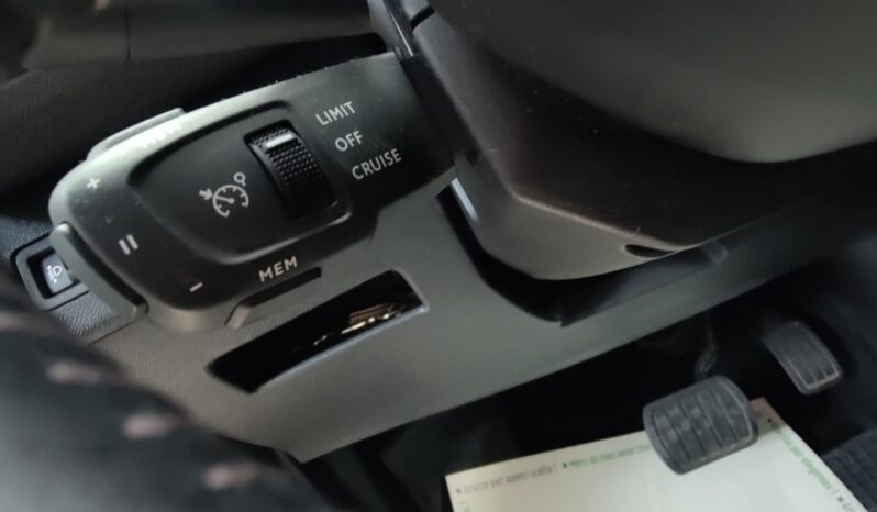 Peugeot 3008 1.5 BlueHDi 130 EAT8 pieno