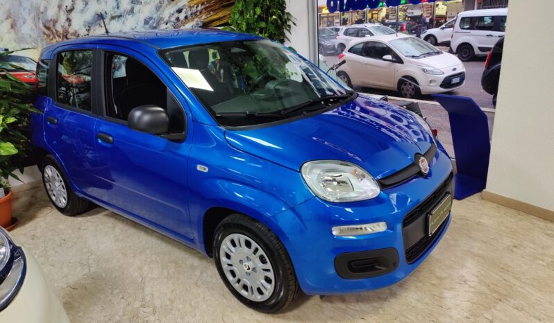 Fiat Panda 1.0 FireFly Hybrid Icon pieno