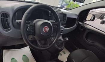 Fiat Pandina 1.0 FireFly 65 CV Hybrid Icon pieno