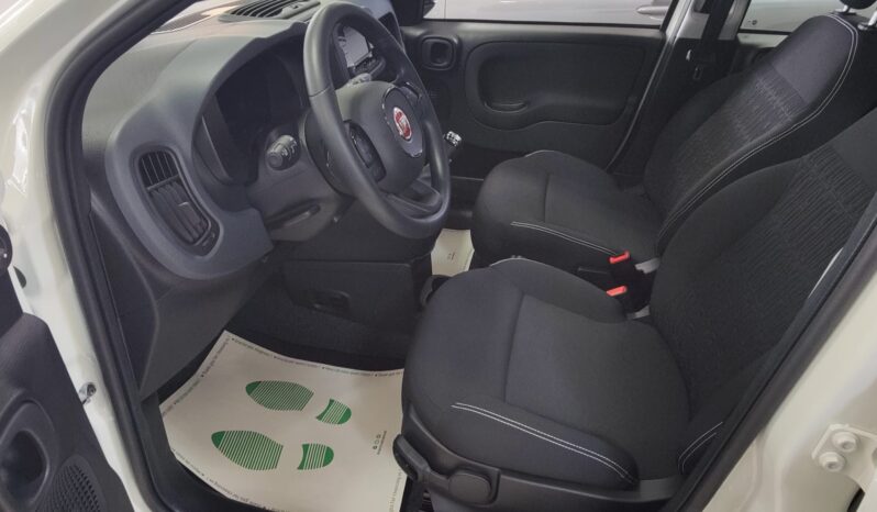 Fiat Pandina 1.0 FireFly 65 CV Hybrid Icon pieno