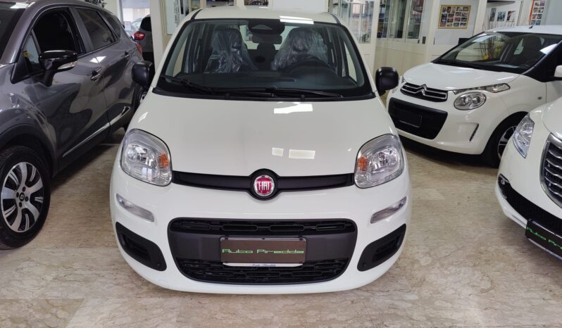Fiat Pandina 1.0 FireFly 65 CV Hybrid Icon pieno