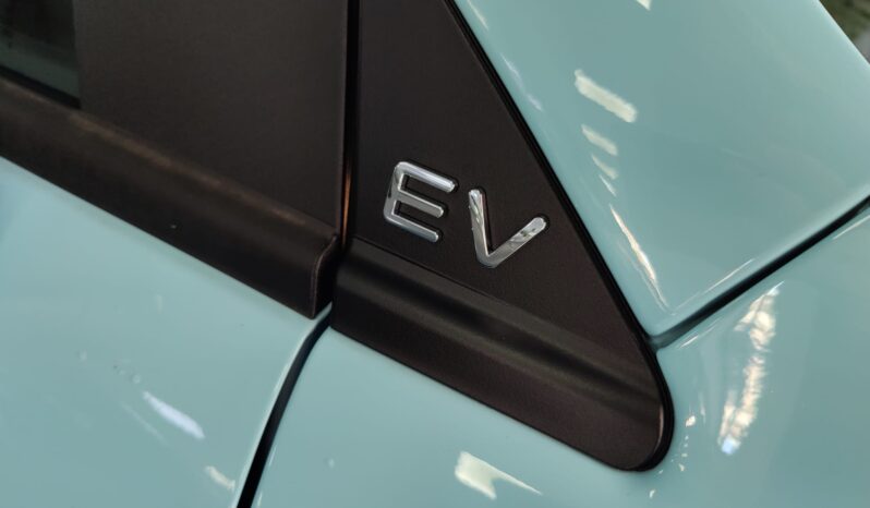 LeapMotor T03 70kW pieno