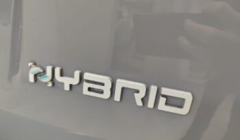 Fiat Panda Cross 1.0 Hybrid pieno