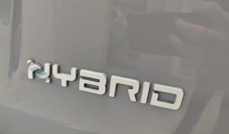 Fiat Panda Cross 1.0 Hybrid pieno