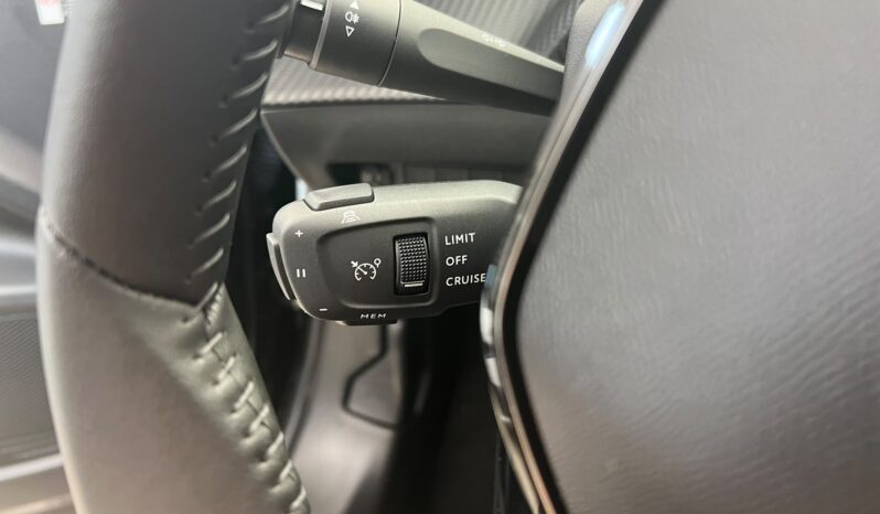 Peugeot 2008 100 CV pieno
