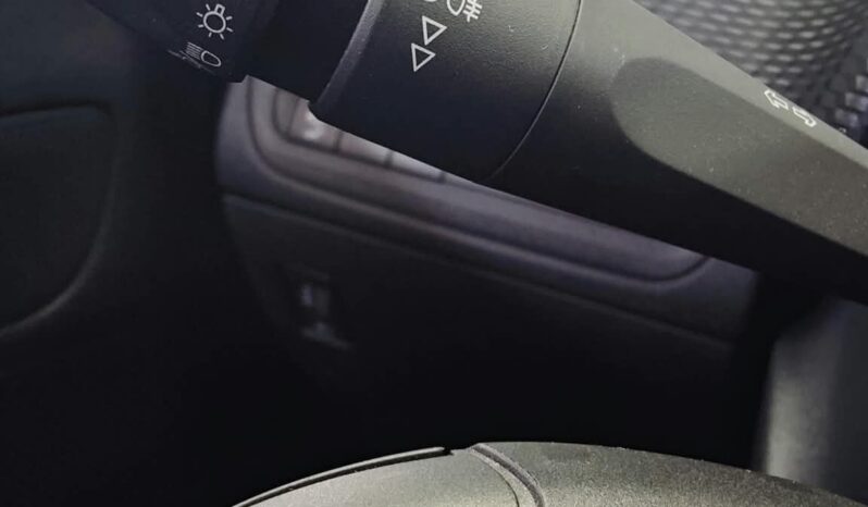 Peugeot 2008 BlueHDi 100 Allure pieno